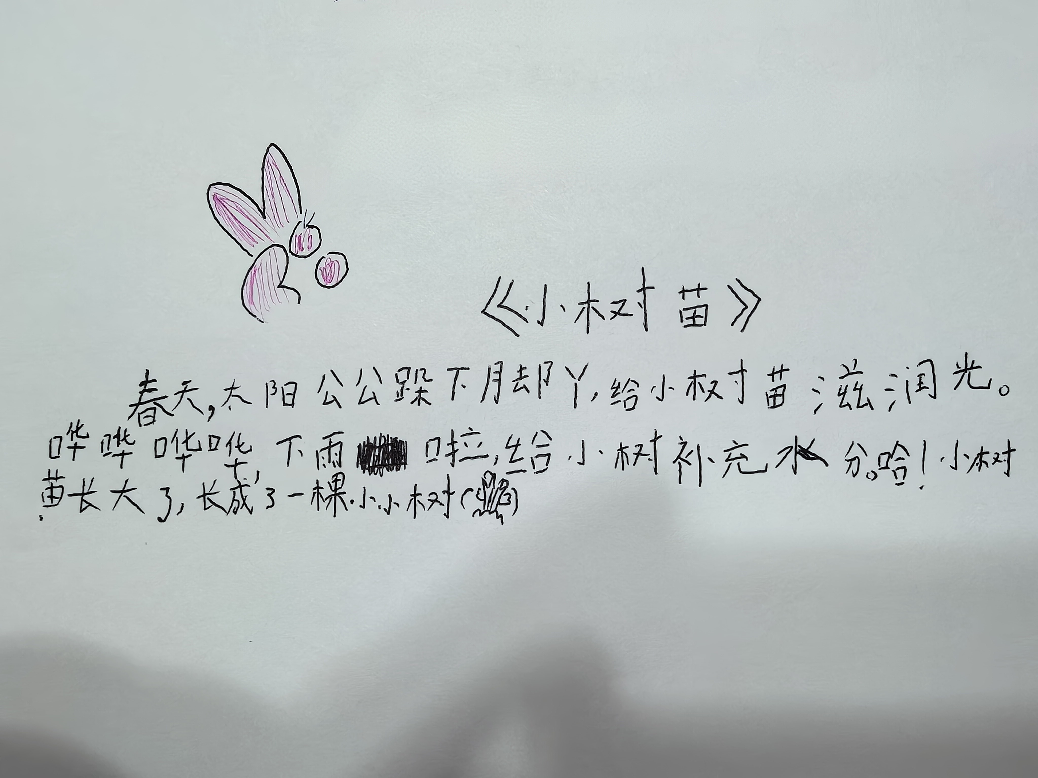 太阳和云朵